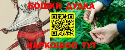 спиды Шахты