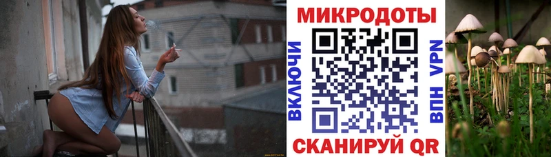 Псилоцибиновые грибы прущие грибы Азнакаево