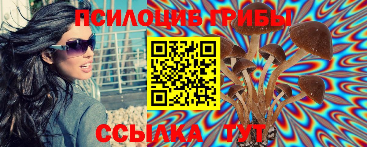 Галлюциногенные грибы Cubensis Азнакаево