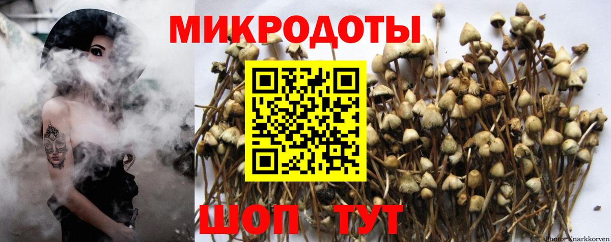 Азнакаево  Галлюциногенные грибы MAGIC MUSHROOMS  Псилоцибиновые грибы прущие грибы  Вход с VPN 